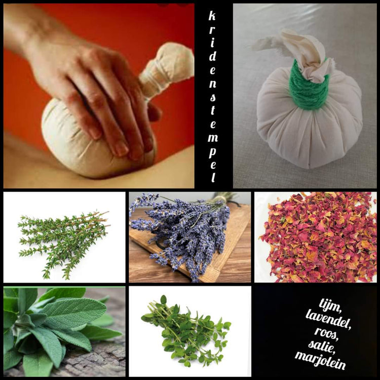 marloes en reina kruidengeneeskunde1